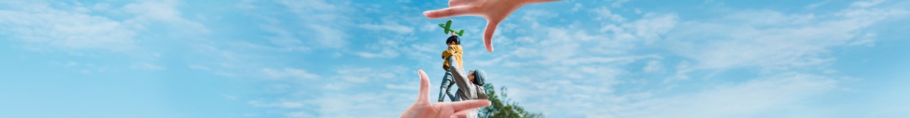 Life, directed by you